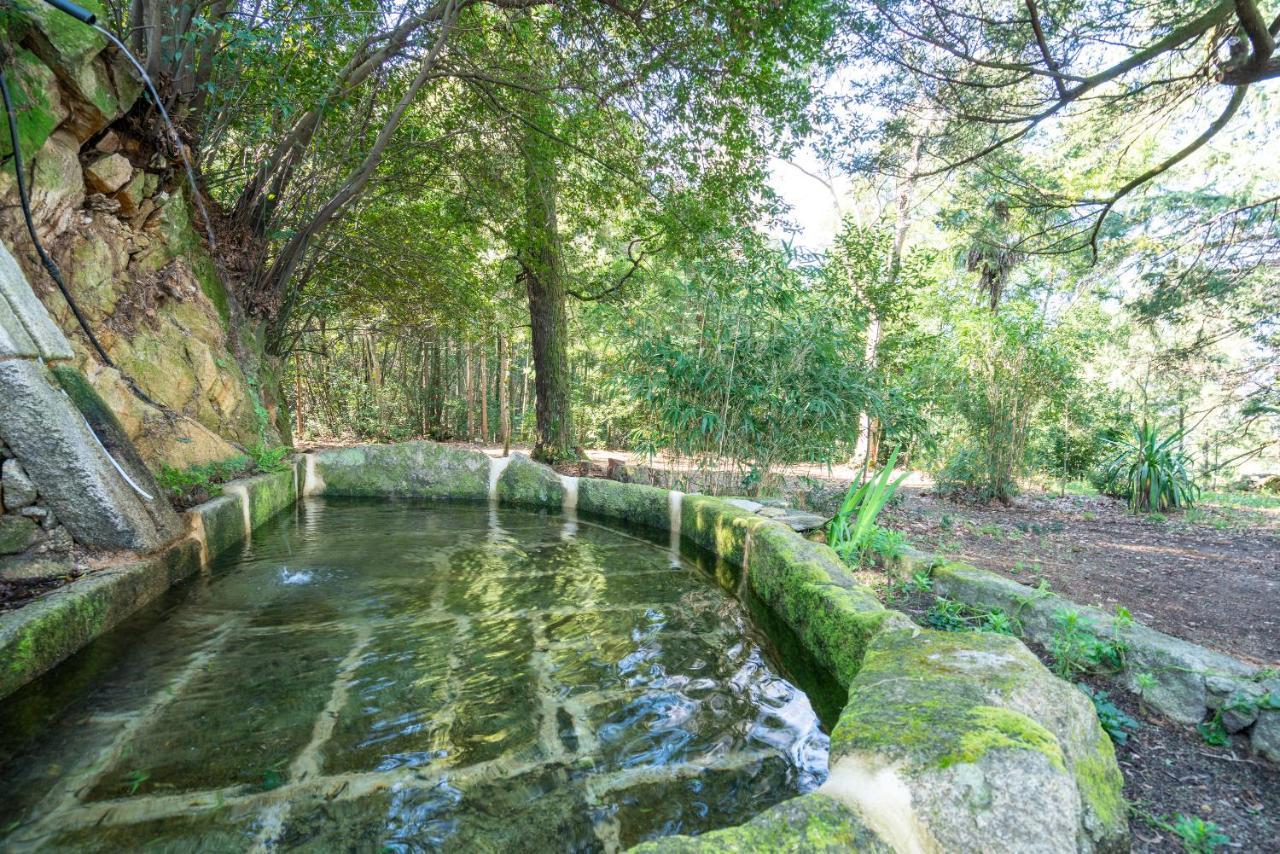 Quinta Das Lamas - Oak Tree House Vouzela Εξωτερικό φωτογραφία