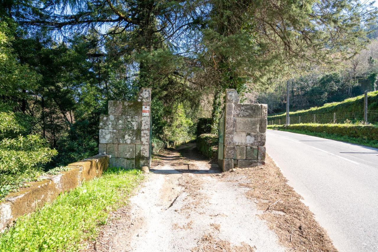 Quinta Das Lamas - Oak Tree House Vouzela Εξωτερικό φωτογραφία